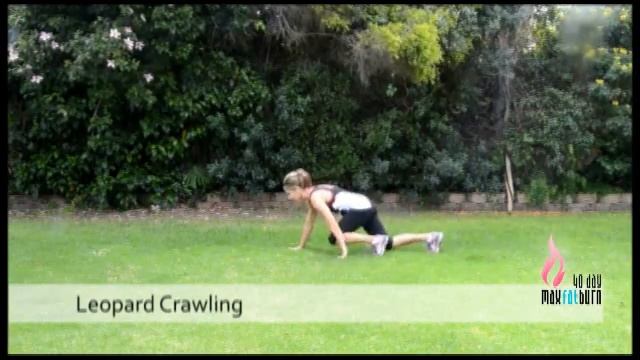 40 Day MAX Fat Burn - Leopard Crawling смотреть онлайн