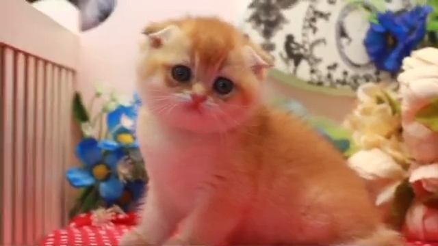 5 марта 2024 г. смотреть онлайн