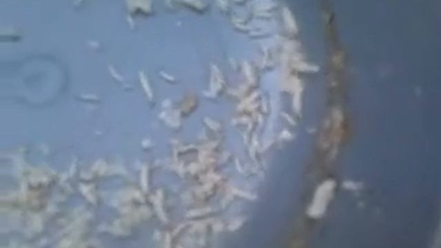 Кошачья еда смотреть онлайн