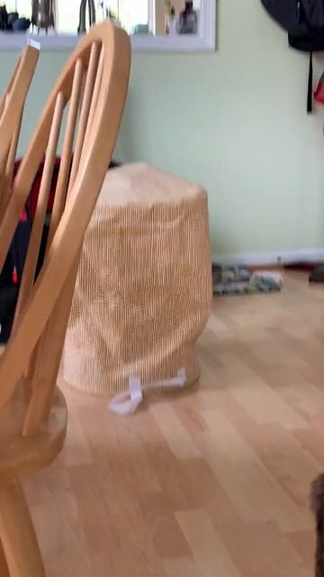 momo in a bag смотреть онлайн