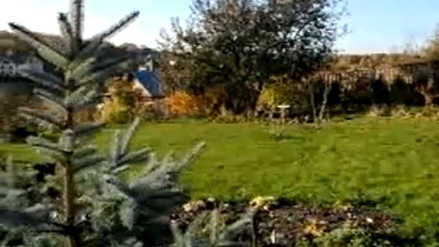 Панорама сада-2 смотреть онлайн