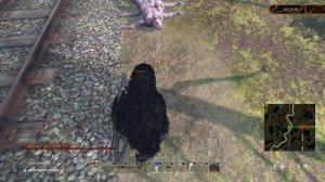 DayZ Сервер YourWorld PVE-1 Поход на данж