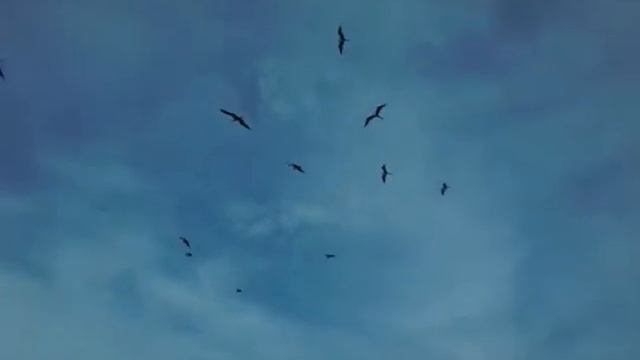 в поисках рыбного места смотреть онлайн