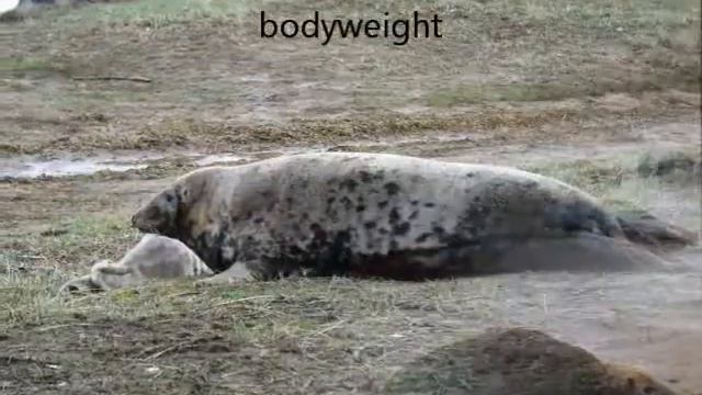 Donna Nook смотреть онлайн