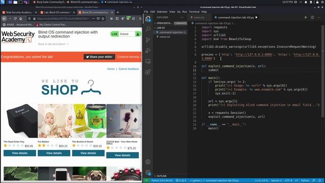 4. Lab 3 - Blind OS command injection with output redirection смотреть онлайн