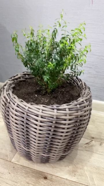 copy_EC1CFFCC-FC41-42BC-81CA-8DB3F04C104E смотреть онлайн