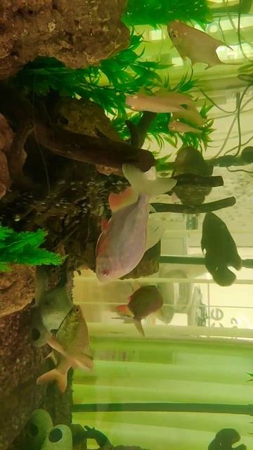 3 December 2022 смотреть онлайн