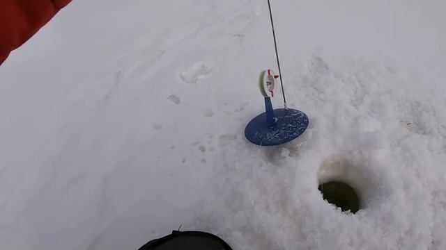 РАССТАВИЛ жерлицы на НОЧЬ и УШЁЛ домой... Утром был в ВОСТОРГЕ от увиденного. Ловля щуки на ЖЕРЛИЦЫ! смотреть онлайн