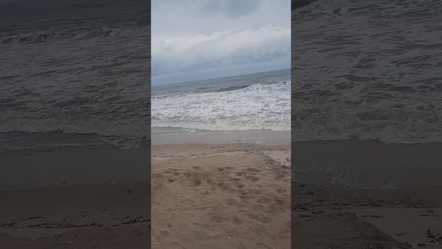 Our day at Altica Beach ⛱ Lekki смотреть онлайн