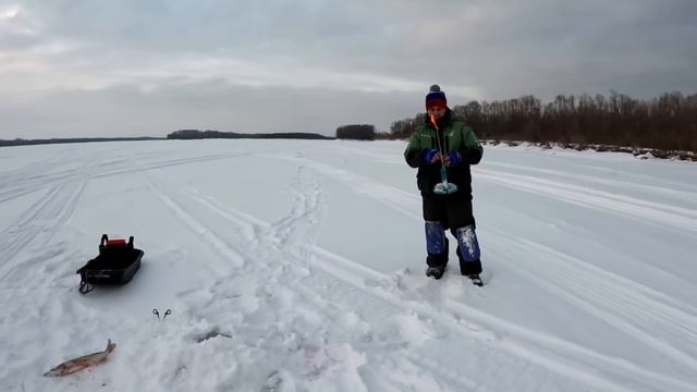 ЖЕРЛИЦЫ 2024!!! НЕ УСПЕВАЮ ОПУСКАТЬ ЖИВЦА ПОД ЛЁД... ОПЕРАТОР визжит, но ТАЩИТ РЫБУ! ЛОВИМ на НЫТЬЁ! смотреть онлайн