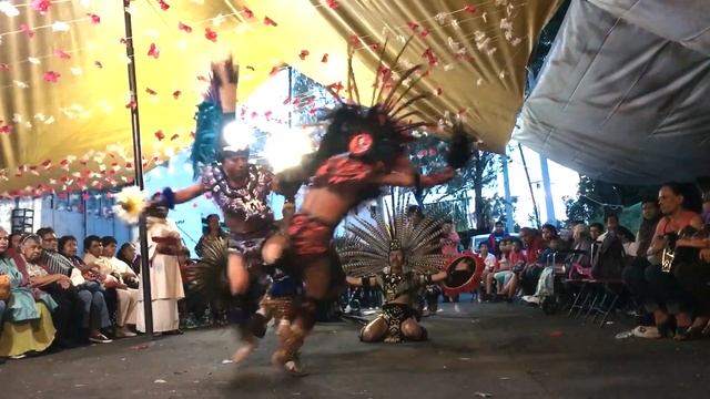 Danza azteca águila blanca смотреть онлайн