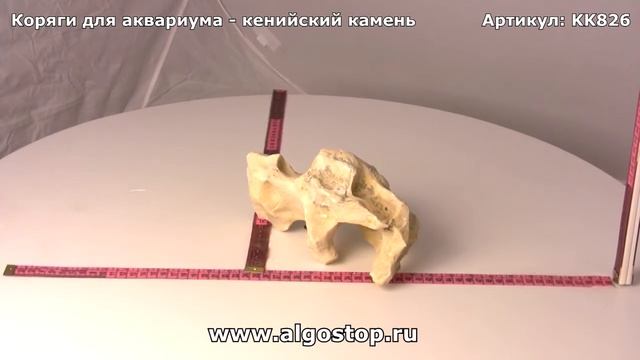 #826 Камень кенийский смотреть онлайн