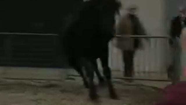 Kirov L'Abatch смотреть онлайн