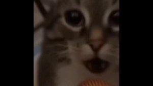 ДА Я РУССКИЙ НАВЕРНОЕ ПОЭТ, ЯКОРЪ, EVEN CUTE(Почти один час 81:00)