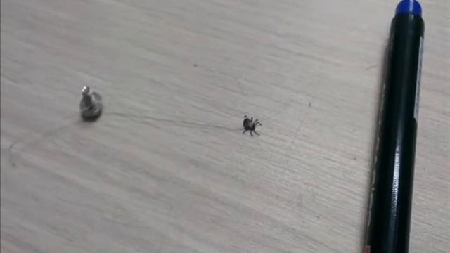 Сильная тварь смотреть онлайн