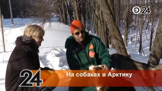 Лайки в Казани смотреть онлайн