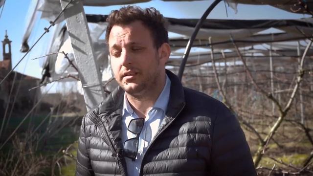 Testimonianza Michele Perusi A WAY OUT Drosophila Suzukii смотреть онлайн