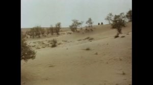 "Тридцатого уничтожить!" - часть 3,/более 35 тыс. просмотров!/