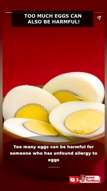 TOO MUCH EGGS CAN ALSO BE HARMFUL! смотреть онлайн