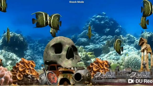 fish farm -French angelfish смотреть онлайн