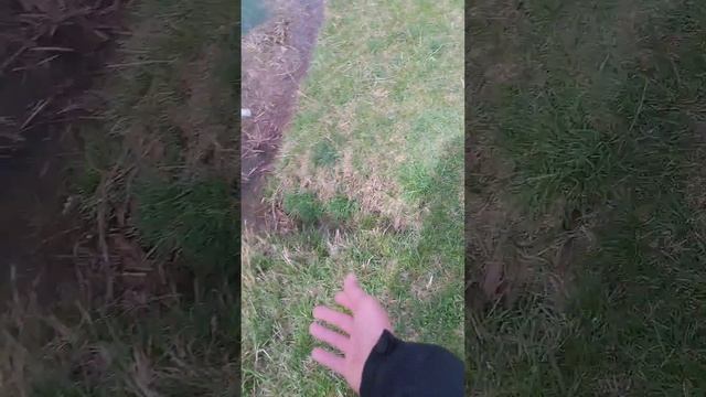 бобр курва смотреть онлайн