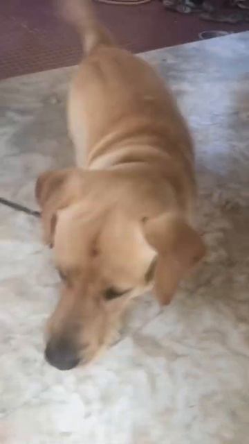 Spray vs Cooper смотреть онлайн