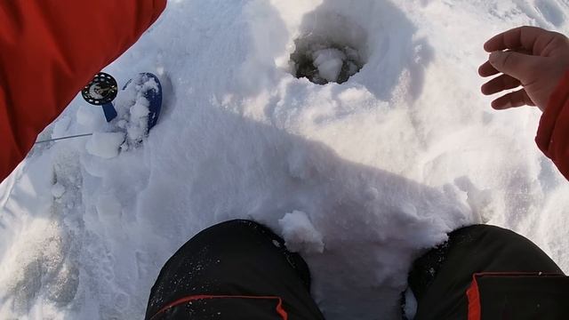 ЖЕРЛИЦЫ! Рекорд по ТРОФЕЮ побит! Ловля КРУПНОЙ щуки на жерлицы! Рыбалка в ГЛУХОЗИМЬЕ! смотреть онлайн