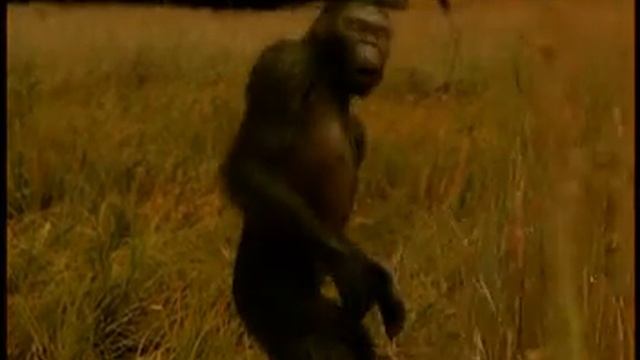 01 Orrorin Tumai смотреть онлайн