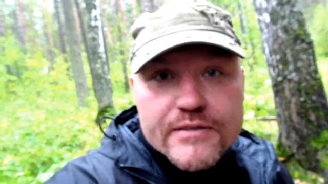 привет таларии смотреть онлайн