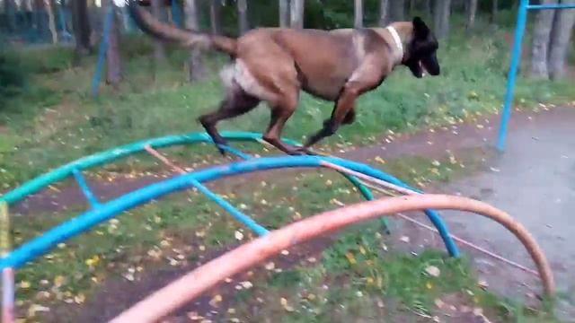 Лестница "радуга". смотреть онлайн