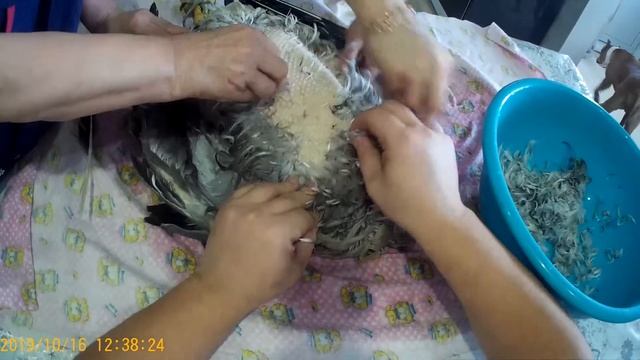 3 ощип пера смотреть онлайн