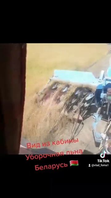 Уборочная льна. Вид из кабины. Беларусь 🇧🇾 смотреть онлайн