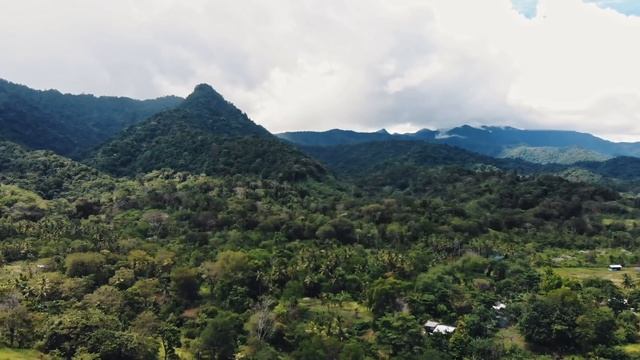 Plane Wrecks at Peak of Indonesian Mountain Ridge ⛰️ Air Disasters | Smithsonian Channel смотреть онлайн