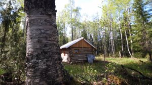 Проверил избушку. Крупный хариус на удочку. Ночь под ёлкой.