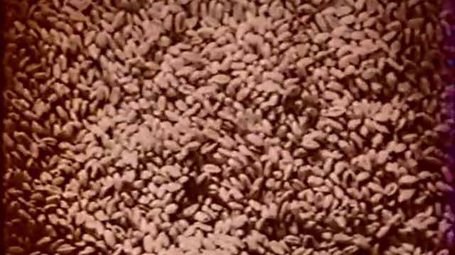 Школа будущего. Телепередачи по физике смотреть онлайн