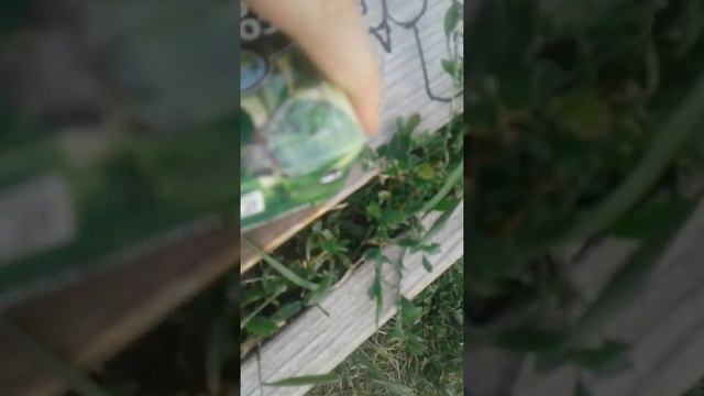 Взрываю сок смотреть онлайн