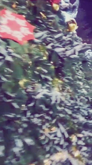 Novosibirsk Russia | Новосибирск Площадь Ленина Новый 2023 год #shorts смотреть онлайн