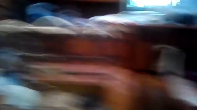 4-часть знакомство моих крыс! смотреть онлайн