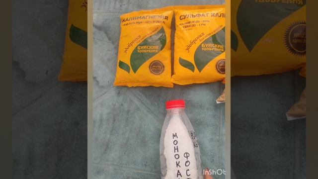 Последняя осеняя подкормка гортензий и других растений.