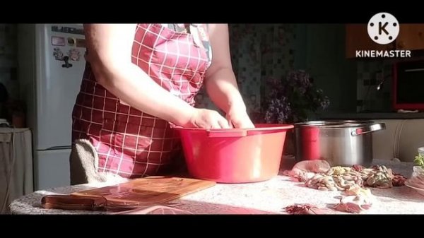 Жизнь в селе#Казахстан#Квочка вывела цыплят.Последний день посевной.