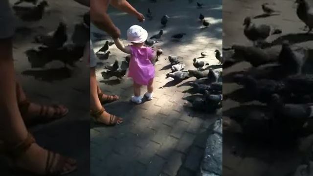 кормит голубей) и сама кушает) смотреть онлайн