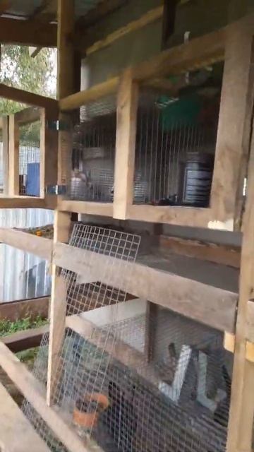 клетки для кроликов смотреть онлайн