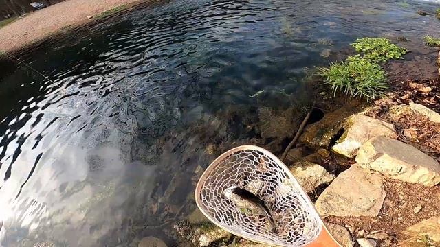 One Fly Challenge Ep.2 (Catching Rainbow Trout on A Mega Worm) смотреть онлайн