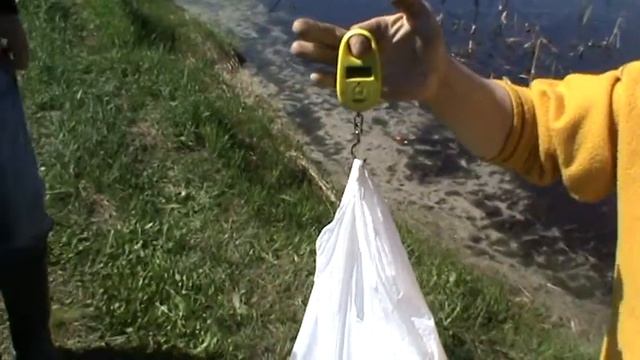 Улов карпа 2,9кг 19 мая 2015 года на Водоеме Корниловская балка смотреть онлайн