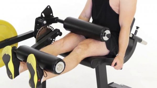ECK-20 Leg Curl Leg Extension Combination