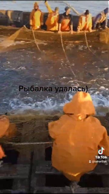 рыбалка кета море сахалинский залив смотреть онлайн