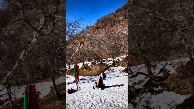 Договор с собой! 👋🥰🕊🍂🍂🍂🤝