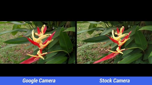 ASUS Zenfone Max Pro M2 Google Camera Review with Night Sight and Comparison (G Cam) смотреть онлайн