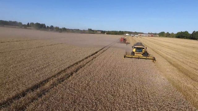 New Holland CX 8070 vs DON 1500 смотреть онлайн