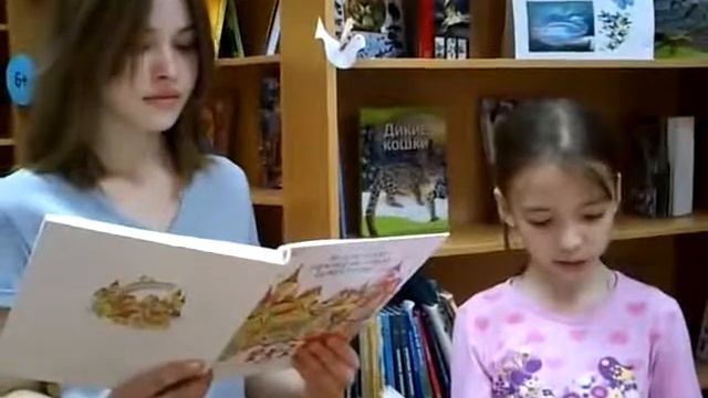 Библиотека 30 г. Перми -2 смотреть онлайн